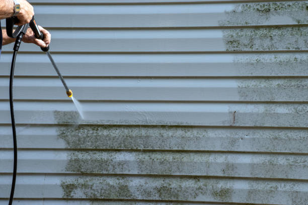 Best Shed Removal  in Ruston, WA